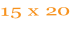 15 x 20
